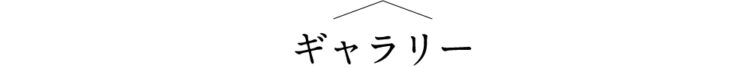 ギャラリー