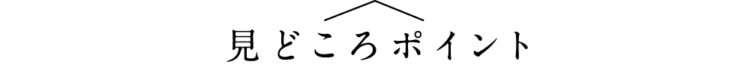 見どころポイント